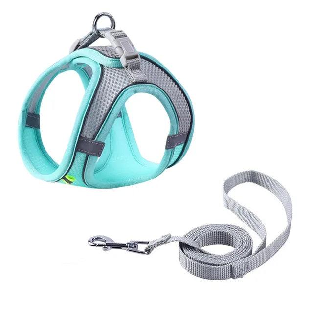 Adjustable Pet Harness with Leash