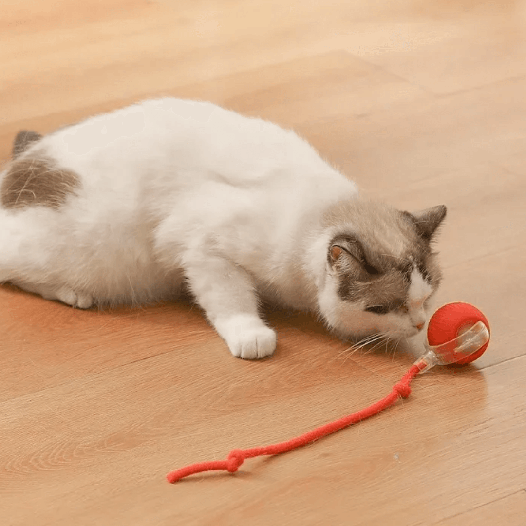 Electronic Hunting Ball Toy for Cats