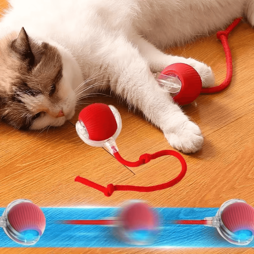 Electronic Hunting Ball Toy for Cats