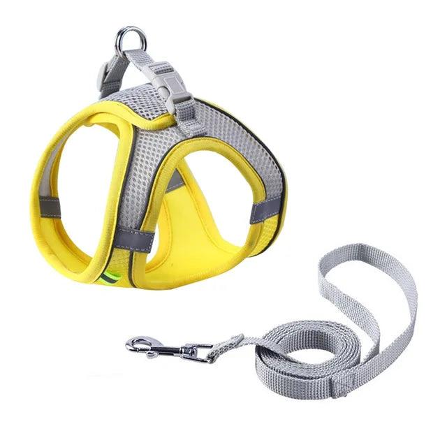 Adjustable Pet Harness with Leash