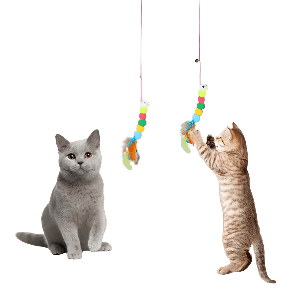 Hanging Suction Cup Toy for Cats