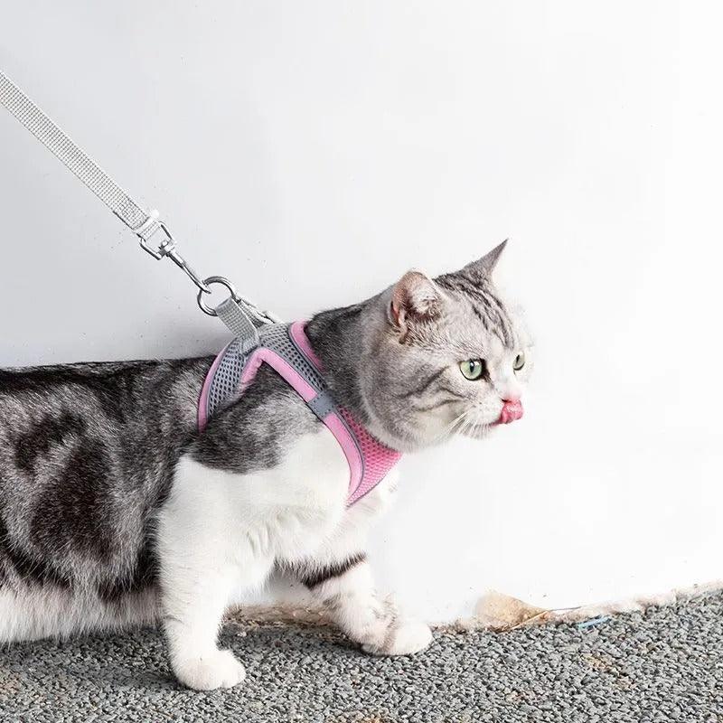 Adjustable Pet Harness with Leash