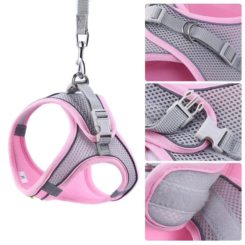 Adjustable Pet Harness with Leash